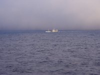 Bilde 020